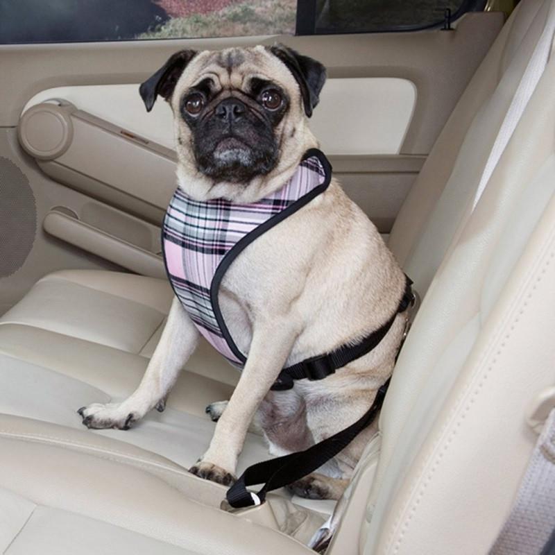 Pet Ninja Ceinture de Sécurité Ajustable pour Chien